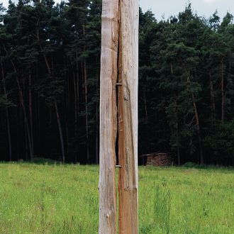 Gespaltene Säule - Kiefer - 2010 - Höhe ca. 3,5 m - Kunstweg Barthelmesaurach